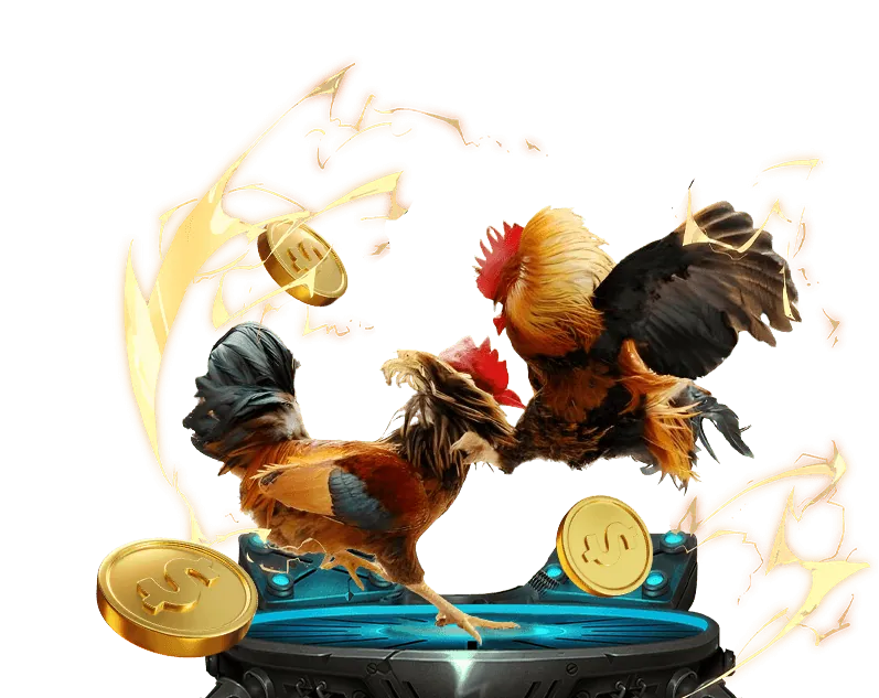 Hướng dẫn người dùng mới